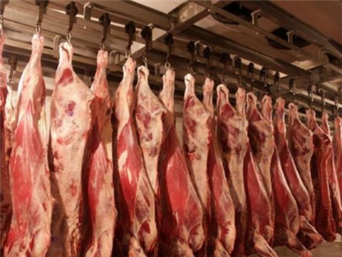 باتوجه به نزدیک شدن ایام محرم، افزایش قیمت گوشت دور از انتظار نیست