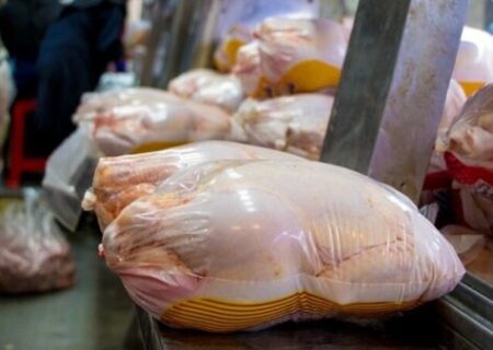 قاچاق مرغ عامل مهم کمبود در استان /تامین نهاده دولتی در ثابت ماندن قیمت مرغ بی تاثیر نیست