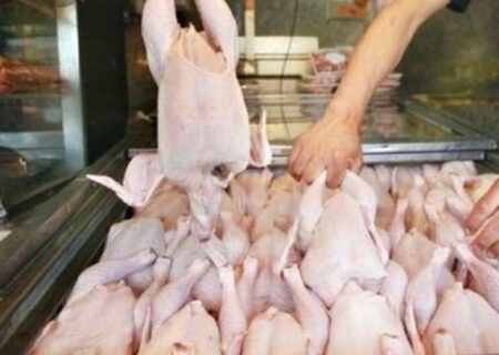 تولید روزانه ۲۰۰ تن مرغ در استان  / کمبودی وجود ندارد
