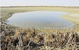 عزم شرکت آب منطقه ای همدان برای احیای تالاب آق گل