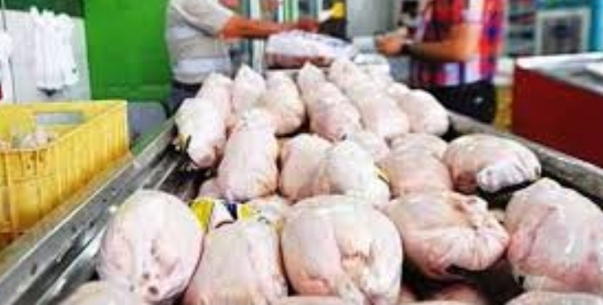 توزیع روزانه ۴۰ تن مرغ گرم در سطح شهرستان همدان