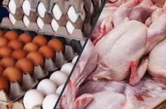 تقاضا برای خرید مرغ و تخم مرغ همچنان در سراشیبی