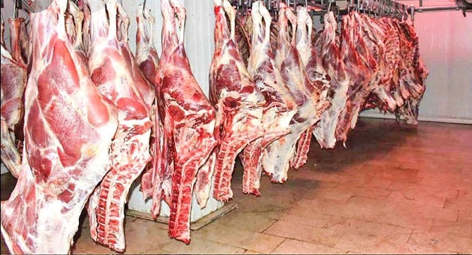 دلیل افزایش قیمت گوشت طی چند روز اخیر چیست ؟ قیمت دام افزایش داشته یا کاهش؟