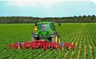 اجرای کشاورزی حفاظتی در ۱۱۰ هزار هکتار از اراضی استان