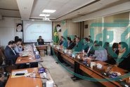 نقاط قابل کنترل در شبکه توزیع برق استان همدان افزایش می‌یابد
