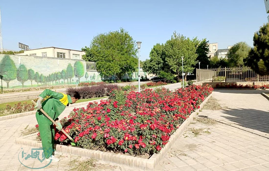 سیمای شهر همدان به گل آراسته می شود