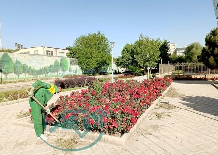 سیمای شهر همدان به گل آراسته می شود