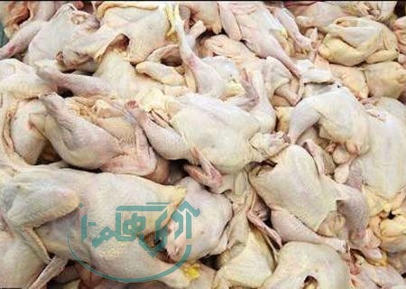 کشف و امحا ۱۵۰ کیلوگرم مرغ تاریخ مصرف گذشته در همدان