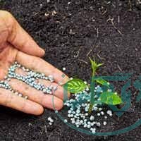 همایش آموزشی _ ترویجی محصولات کودی تولیدی هفتم خرداد ماه برگزار می شود