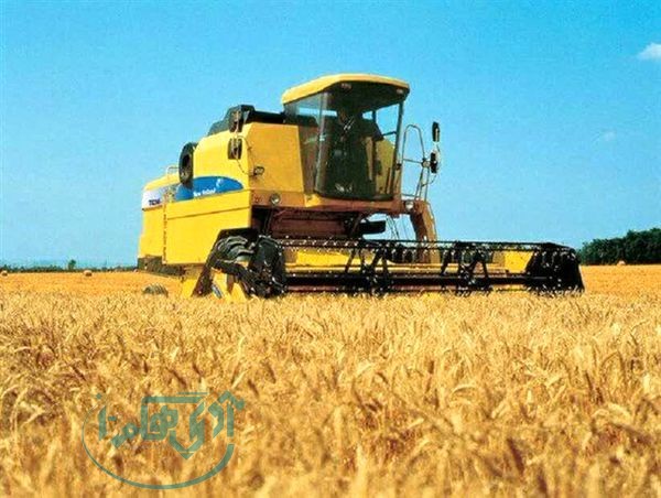 آغاز برداشت غلات در فامنین