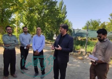 نهالستان ملایر ، تامین کننده ۶۰ درصد نهال استان همدان