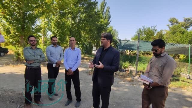 نهالستان ملایر ، تامین کننده ۶۰ درصد نهال استان همدان