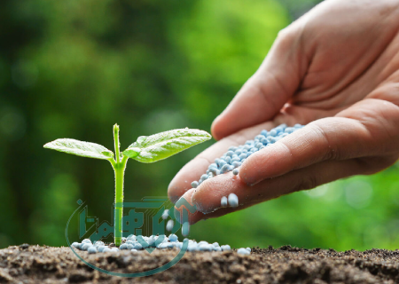 ۱۳ هزار تن کود کشاورزی برای کشت‌های پاییزه آماده توزیع است