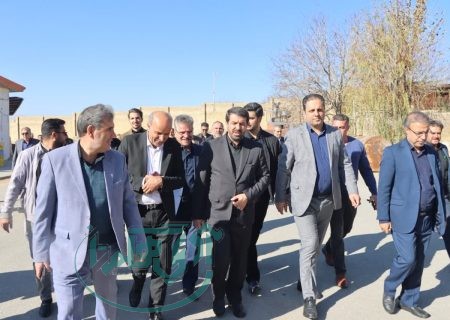 حمایت دولت از بخش خصوصی