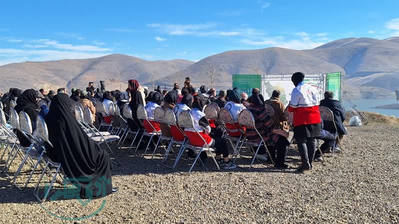 برگزاری پویش نهال کاری “در سایه مادر” در ۱۰ شهرستان استان همدان