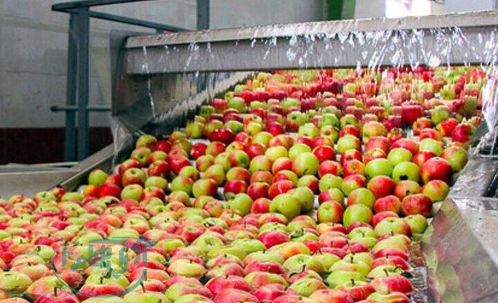 242 واحد صنایع تبدیلی کشاورزی در همدان در دست احداث است