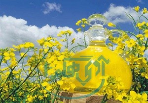 توسعه کشت دانه‌های روغنی دیم در مزارع دیم همدان