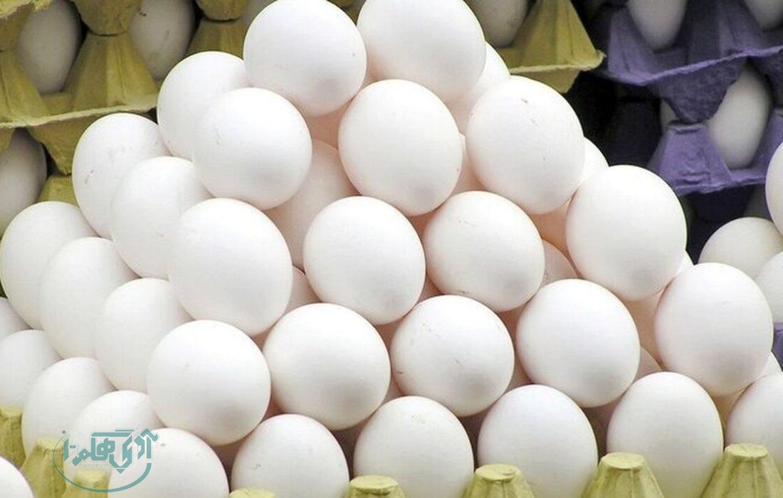 تولید روزانه 62 تن تخم مرغ در همدان