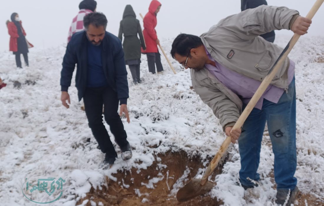 کاشت دوهزار نهال در پویش ملی ” به نام پدر” در استان همدان