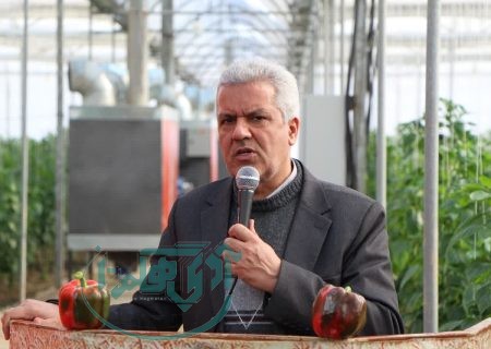 دو گلخانه سبزی و صیفی در شهرستان همدان به بهره برداری رسید