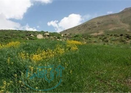 اجازه نمی دهیم؛ زمین‌خواران بر اراضی استان دست دراز کنند