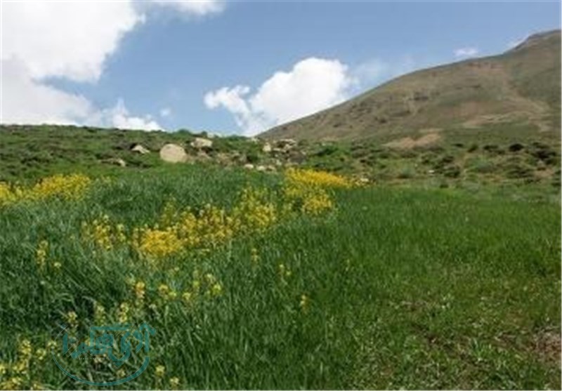 اجازه نمی دهیم؛ زمین‌خواران بر اراضی استان دست دراز کنند