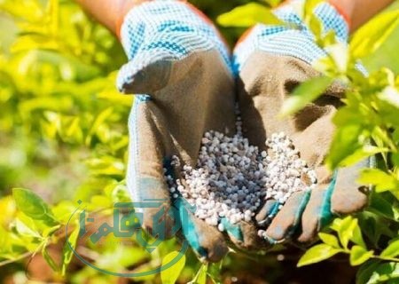 تامین، تدارک و توزیع 83 هزار تن انواع کود کشاورزی مورد نیاز استان