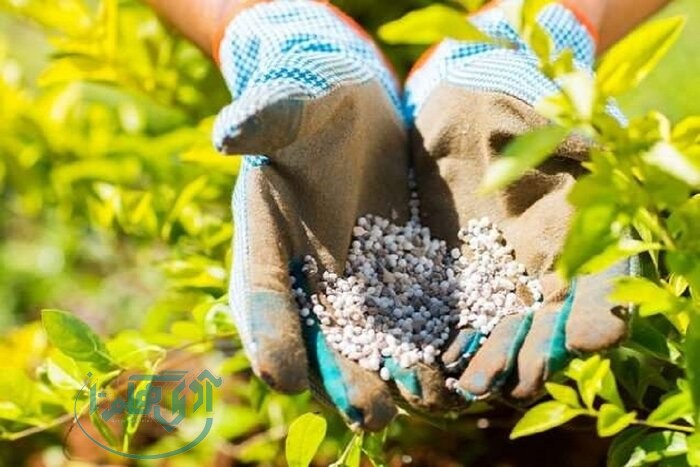 تامین، تدارک و توزیع 83 هزار تن انواع کود کشاورزی مورد نیاز استان
