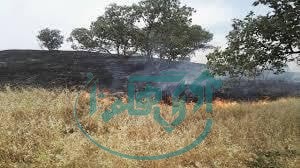 ایجاد سالانه ۱۰۰ هکتار آتش بُر در اراضی همدان