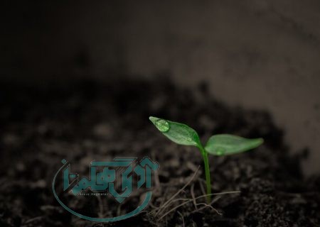 حفظ و احیای خاک، در گرو تقویت پوشش گیاهی است