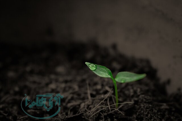 حفظ و احیای خاک، در گرو تقویت پوشش گیاهی است