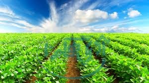 ۸۱ طرح کشاورزی در همدان به بهره برداری می رسد