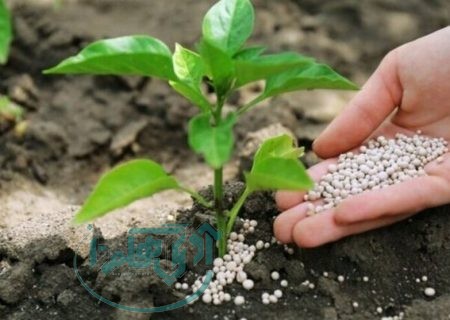 توزیع کود مورد نیاز کشت های پاییزه در همدان