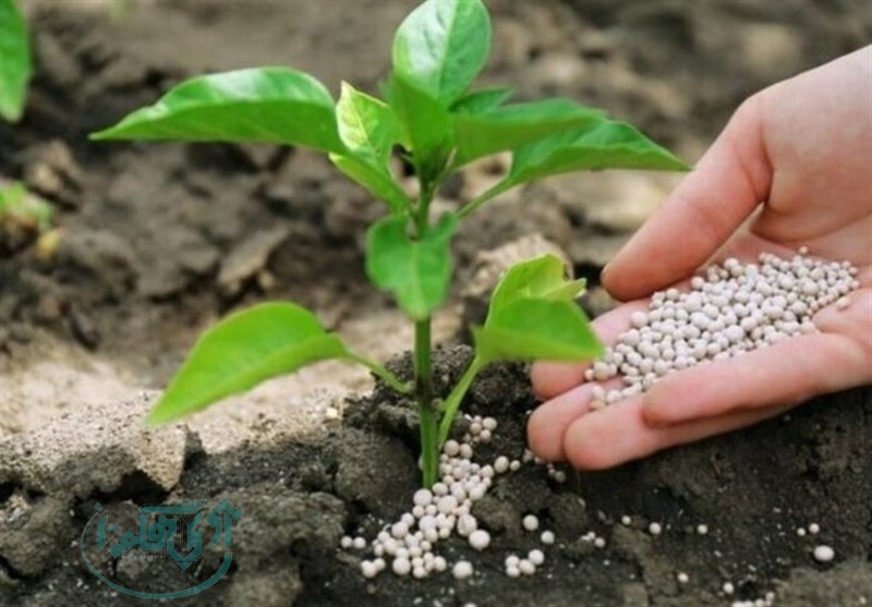 توزیع کود مورد نیاز کشت های پاییزه در همدان