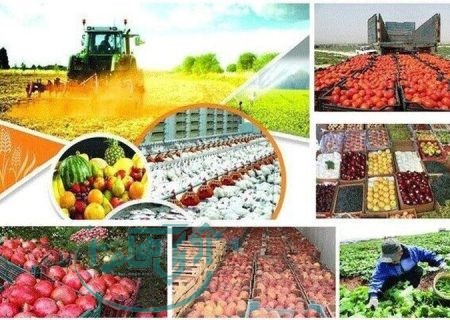 بهره‌برداری از ۸۱ طرح کشاورزی در هفته دولت/ ۹۰ درصد از اراضی کشاورزی مجهز به آبیاری نوین