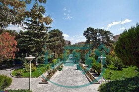 تمامی درختان شهر رزن تا پایان سالجاری پلاکگذاری میشوند