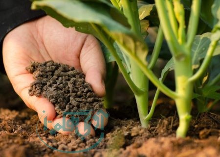 توزیع ۶۰۰۰ تن کود کشاورزی در همدان طی ۱۵ روز