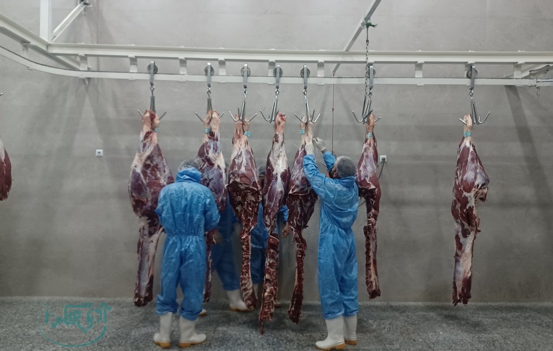 بازدید خبرنگاران از چند واحد قطعه‌بندی و بسته‌بندی فرآورده‌های خام دامی