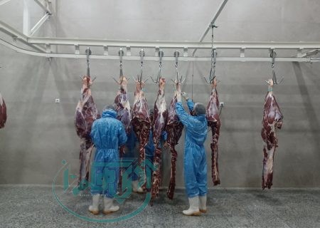 بازدید خبرنگاران از چند واحد قطعه‌بندی و بسته‌بندی فرآورده‌های خام دامی