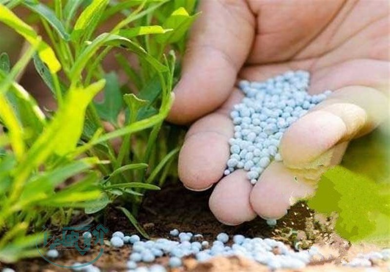 تحقق ۵۶ درصدی برنامههای تامین و توزیع کودهای کشاورزی