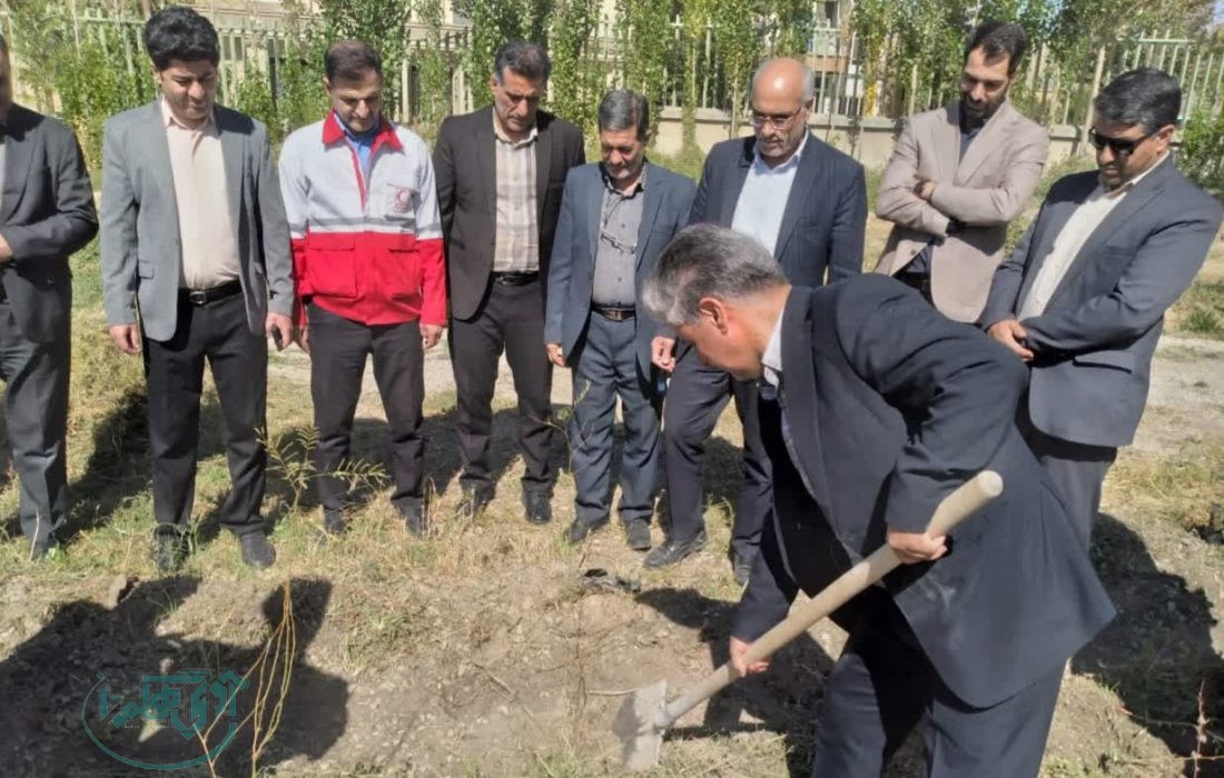 اجرای پویش نهالکاری «سلامت و تندرستی» در همدان