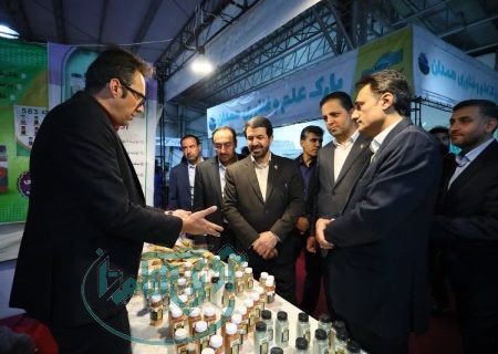 حمایت از سرمایه‌گذاری در صنایع تبدیلی و تکمیلی