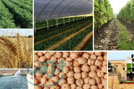 پروانه کسب کشاورزی، شفاف‌سازی آمار تولید را تضمین می‌کند