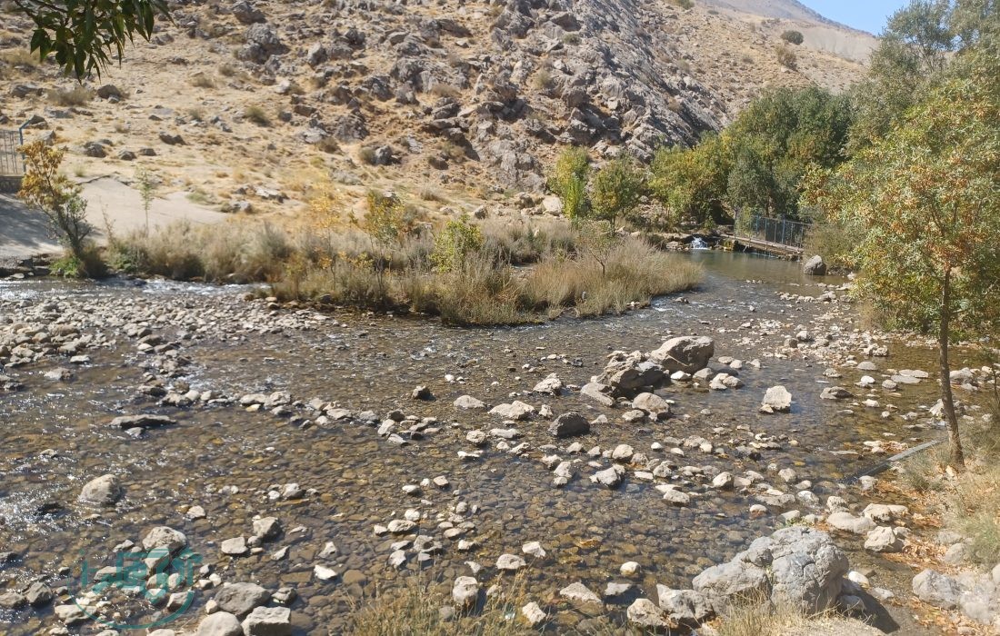 ظرفیت‌های بی‌نظیر سراب‌های نهاوند برای توسعه پرورش ماهی و گردشگری