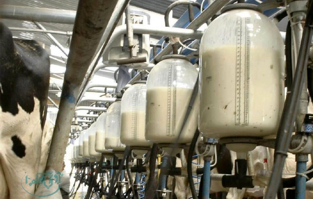 ملایر به عنوان قطب تولید شیر استان همدان تثبیت شد