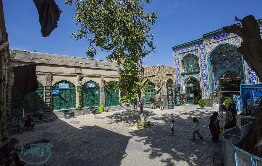 اظهارات معاون میراث‌فرهنگی استان همدان درباره درخت کهنسال شاهزاده حسین(ع)