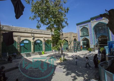 اظهارات معاون میراث‌فرهنگی استان همدان درباره درخت کهنسال شاهزاده حسین(ع)