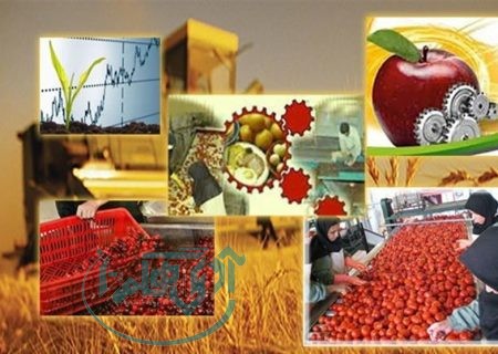 ظرفیت فرآوری بیش از ۵ میلیون تن محصول کشاورزی فراهم شد