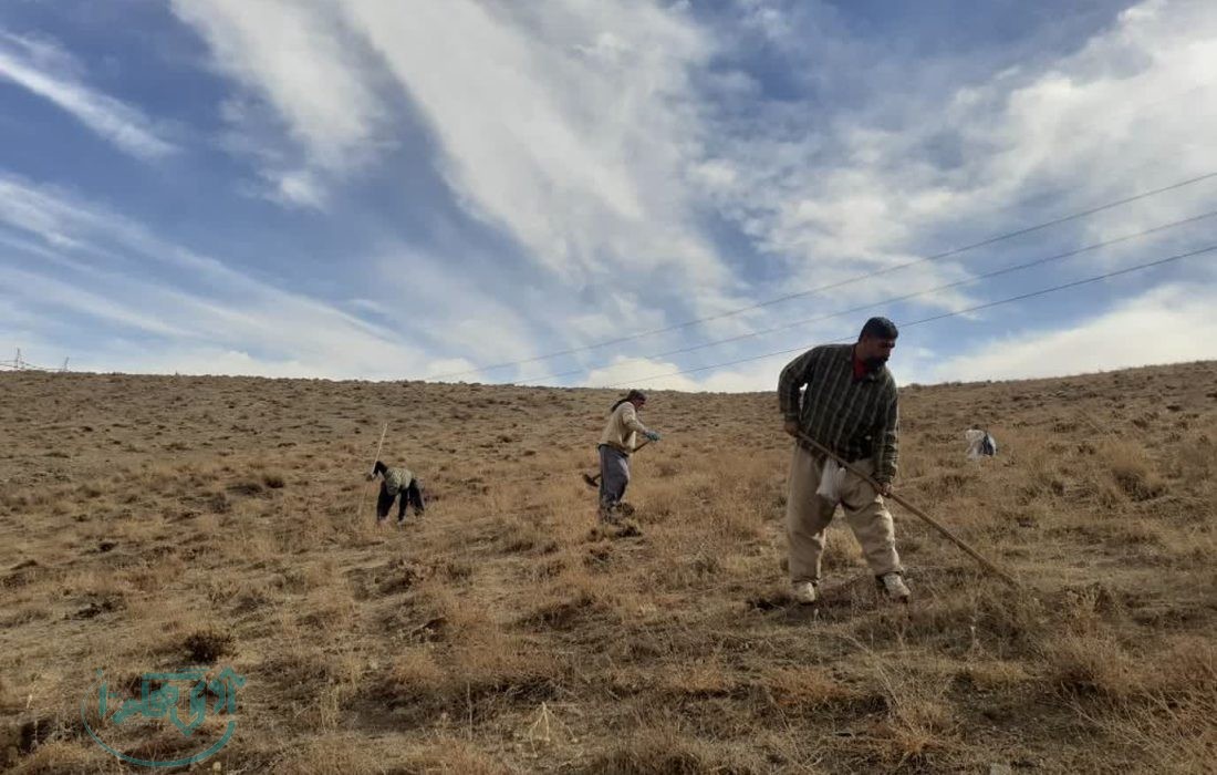 آغاز پروژه بیولوژیک اصلاح و احیای مراتع در روستای روان شهرستان بهار