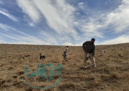 آغاز پروژه بیولوژیک اصلاح و احیای مراتع در روستای روان شهرستان بهار